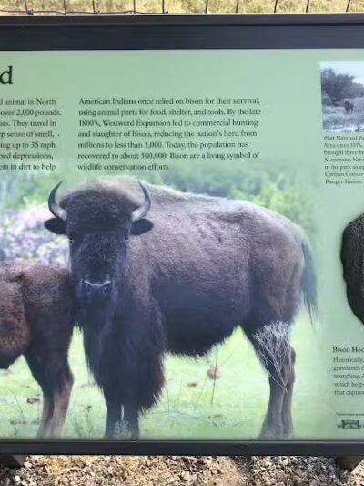 Bison Pasture Viewpoint - Sulphur, OK