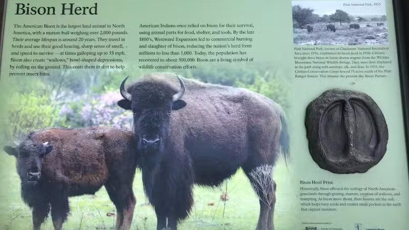 Bison Pasture Viewpoint - Sulphur, OK