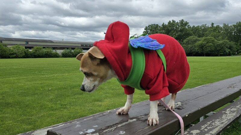 Happy Tails Dog Park - Summit - Summit, IL