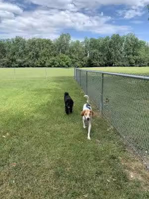 Happy Tails Dog Park - Summit - Summit, IL