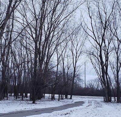 Happy Tails Dog Park - Summit - Summit, IL