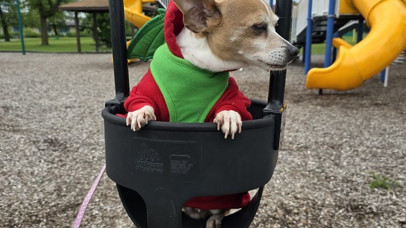 Happy Tails Dog Park - Summit - Summit, IL