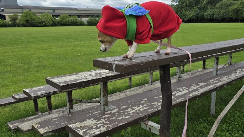 Happy Tails Dog Park - Summit - Summit, IL