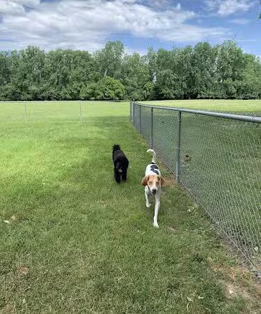 Happy Tails Dog Park - Summit - Summit, IL