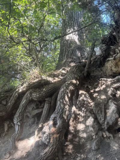 Parowan Heritage Park - Summit, UT