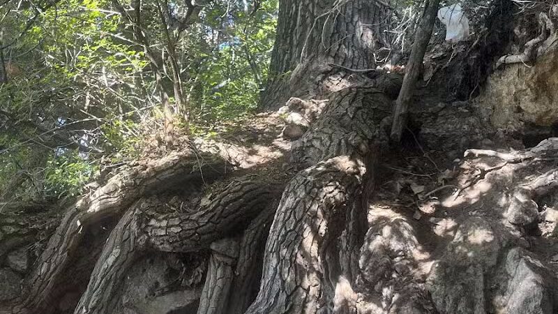 Parowan Heritage Park - Summit, UT