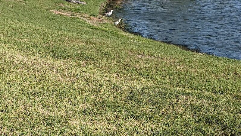 Rupert Canine Park - Sumterville, FL