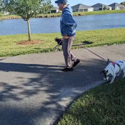 Rupert Canine Park - Sumterville, FL