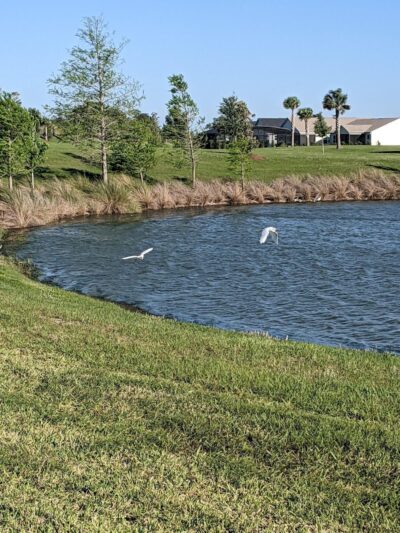 Rupert Canine Park - Sumterville, FL