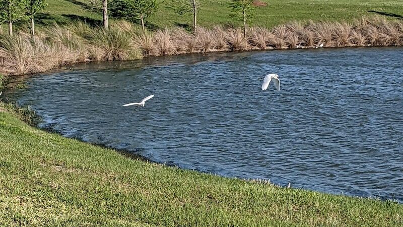 Rupert Canine Park - Sumterville, FL