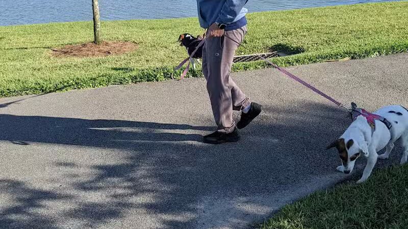 Rupert Canine Park - Sumterville, FL