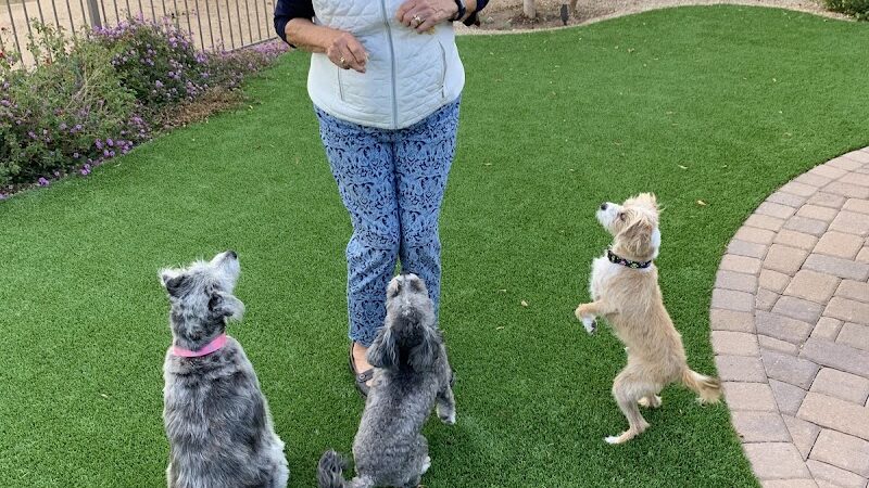 Private - Small Dog Park - Sun City West, AZ