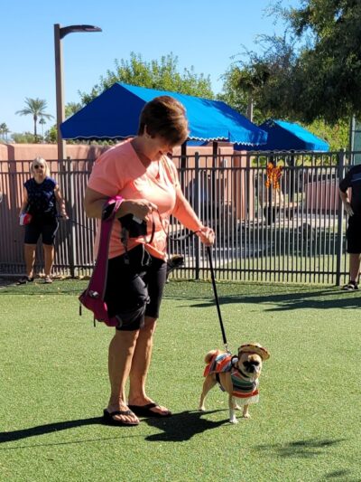 Private - Small Dog Park - Sun City West, AZ