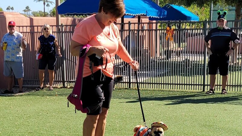 Private - Small Dog Park - Sun City West, AZ