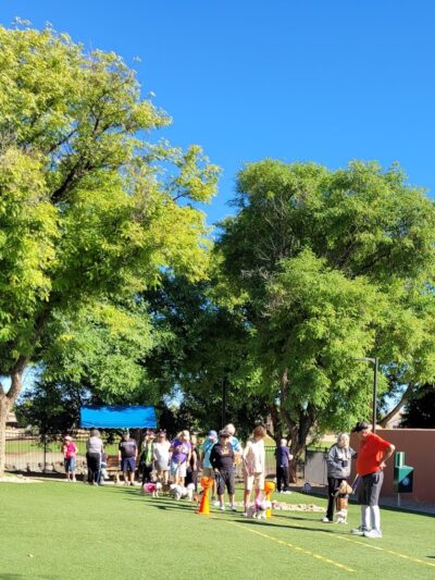 Private - Small Dog Park - Sun City West, AZ