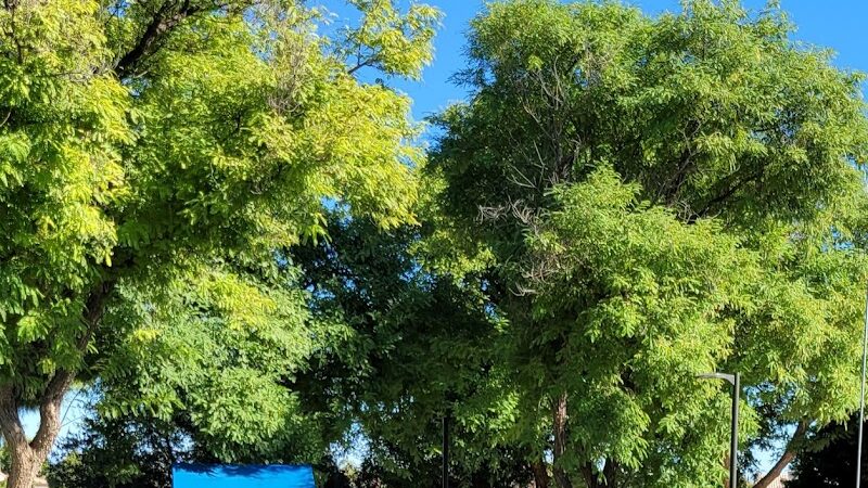 Private - Small Dog Park - Sun City West, AZ