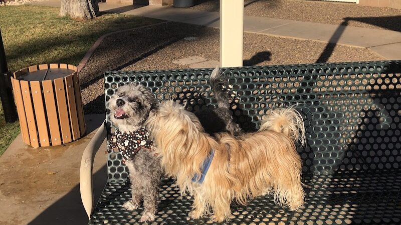 Private - Small Dog Park - Sun City West, AZ