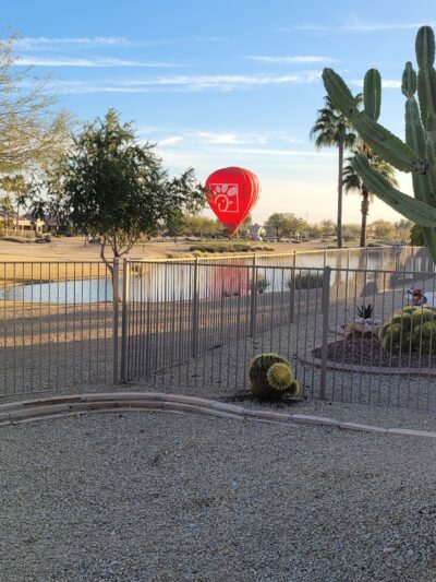 R.H. Johnson Small Dog Park - Members Only - Sun City West, AZ