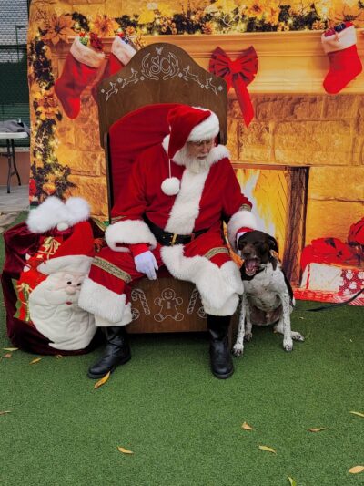 R.H. Johnson Small Dog Park - Members Only - Sun City West, AZ