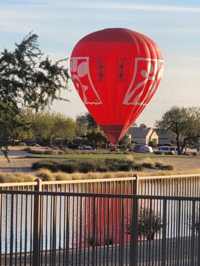 R.H. Johnson Small Dog Park - Members Only - Sun City West, AZ