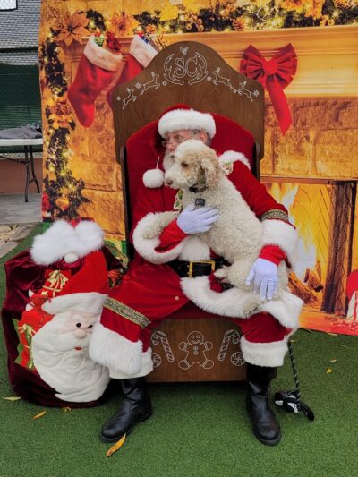 R.H. Johnson Small Dog Park - Members Only - Sun City West, AZ