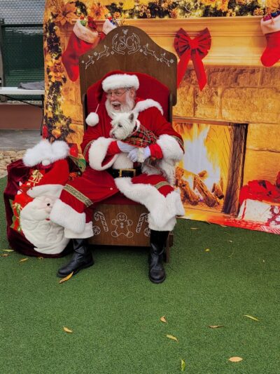 R.H. Johnson Small Dog Park - Members Only - Sun City West, AZ