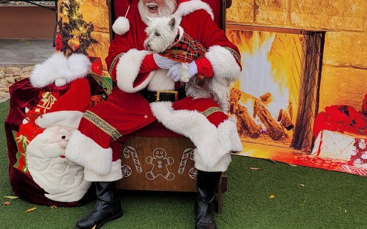 R.H. Johnson Small Dog Park - Members Only - Sun City West, AZ