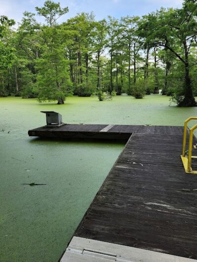Merchants Millpond Boat Ramp - Sunbury, NC