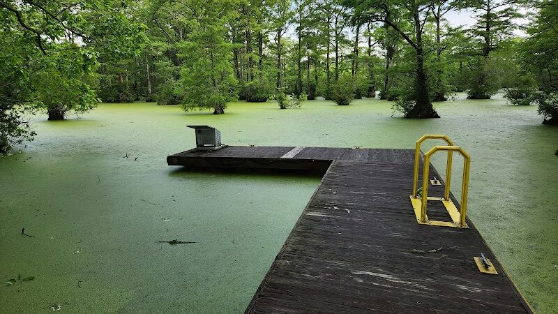 Merchants Millpond Boat Ramp - Sunbury, NC