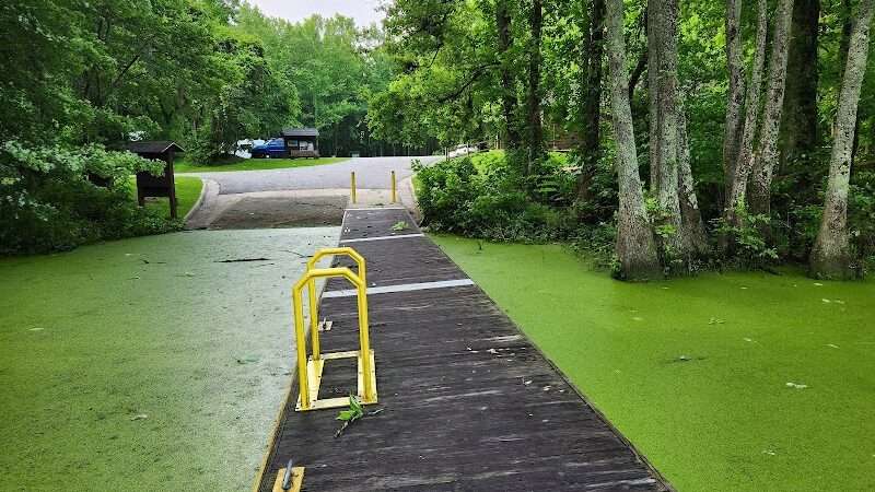 Merchants Millpond Boat Ramp - Sunbury, NC