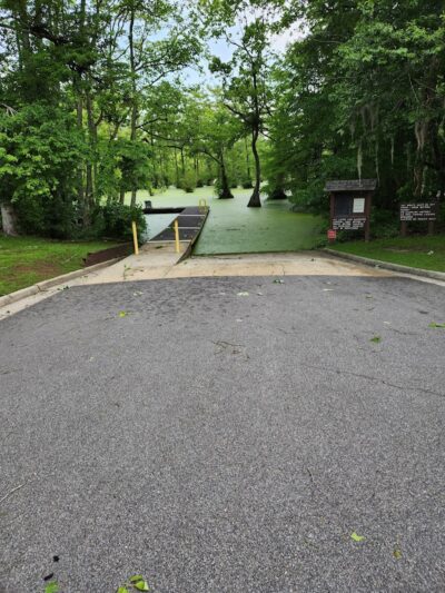 Merchants Millpond Boat Ramp - Sunbury, NC