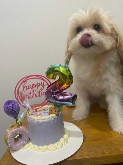 Fat Puppies INN - Sunnyside, NY