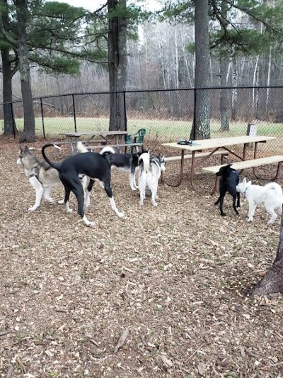 Superior Dog Park - Superior, WI