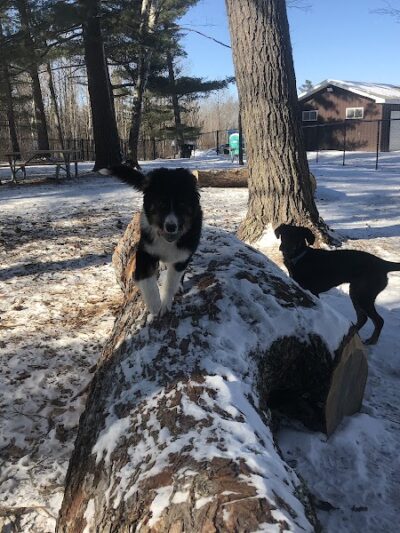 Superior Dog Park - Superior, WI