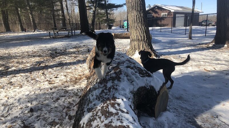 Superior Dog Park - Superior, WI