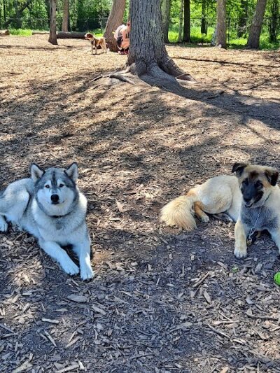 Superior Dog Park - Superior, WI