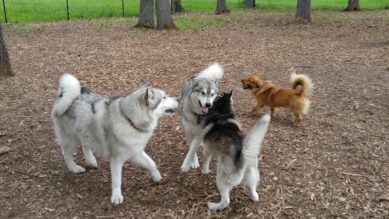 Superior Dog Park - Superior, WI