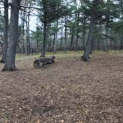 Superior Dog Park - Superior, WI