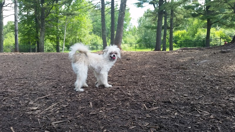 Superior Dog Park - Superior, WI