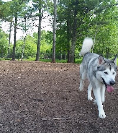 Superior Dog Park - Superior, WI