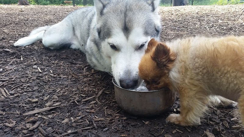 Superior Dog Park - Superior, WI