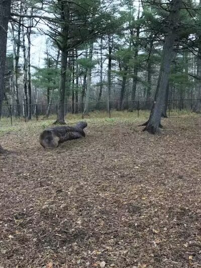 Superior Dog Park - Superior, WI