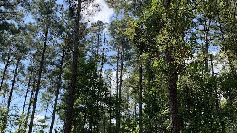 Surf City Bark Park - Surf City, NC