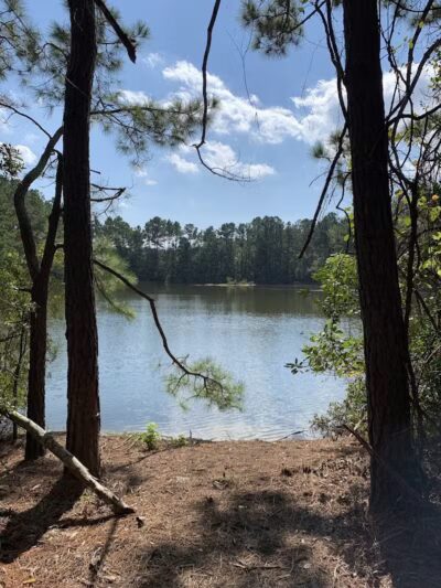 Surf City Bark Park - Surf City, NC