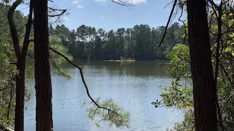Surf City Bark Park - Surf City, NC