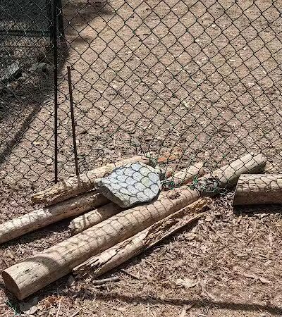 Surf City Bark Park - Surf City, NC