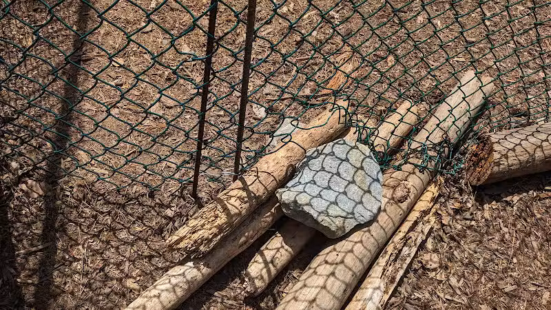Surf City Bark Park - Surf City, NC