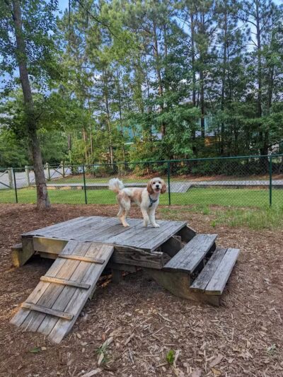Surf City Bark Park - Surf City, NC