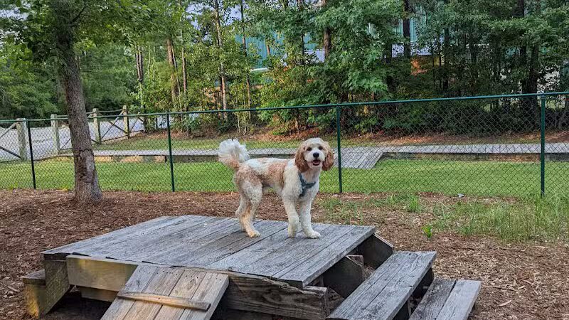 Surf City Bark Park - Surf City, NC