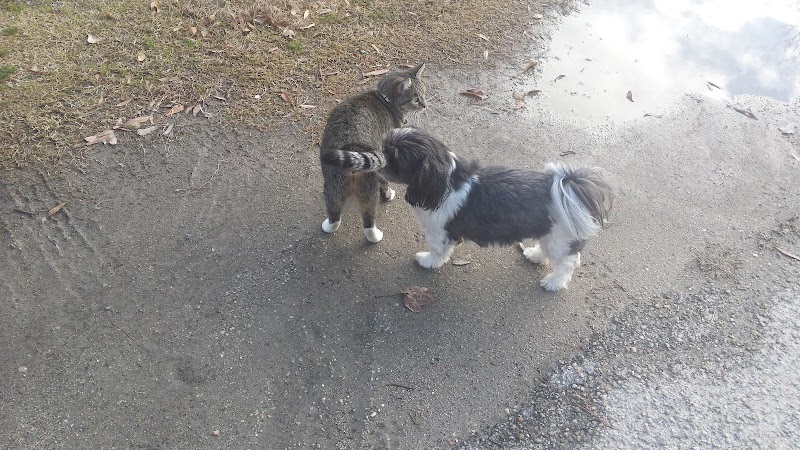 Surfside Beach Dog Park - Surfside Beach, SC